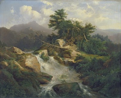 Paysage forestier avec cascade - Julius Bakof